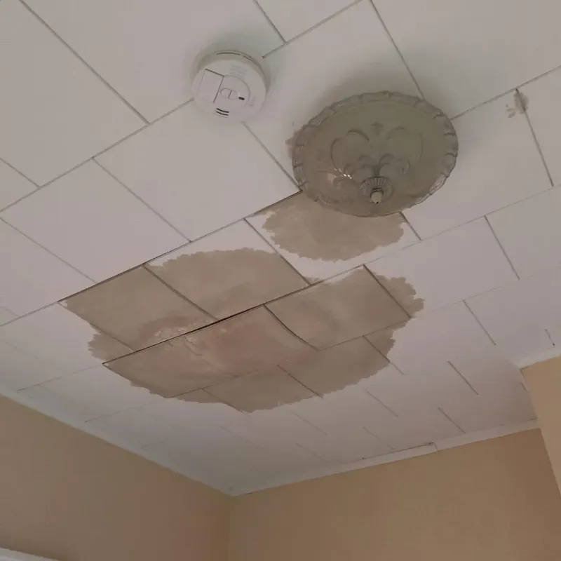 Ceiling Water Damage Repair in Clarksburg, WV