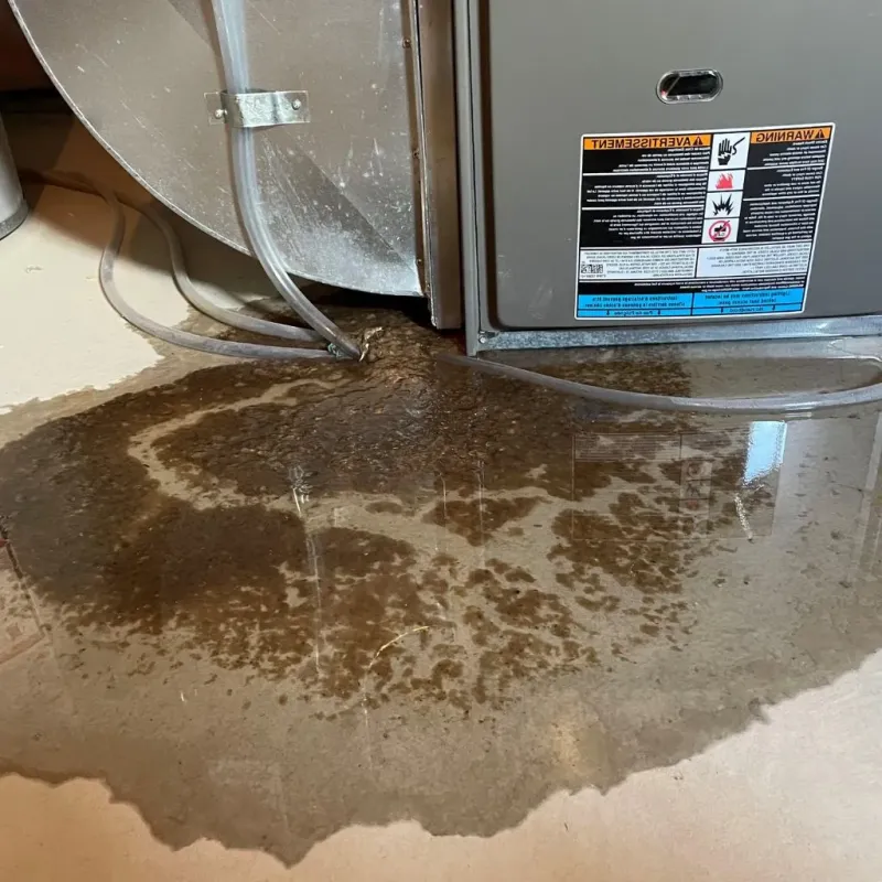 Pipe Burst and Leak Restoration in Clarksburg, WV