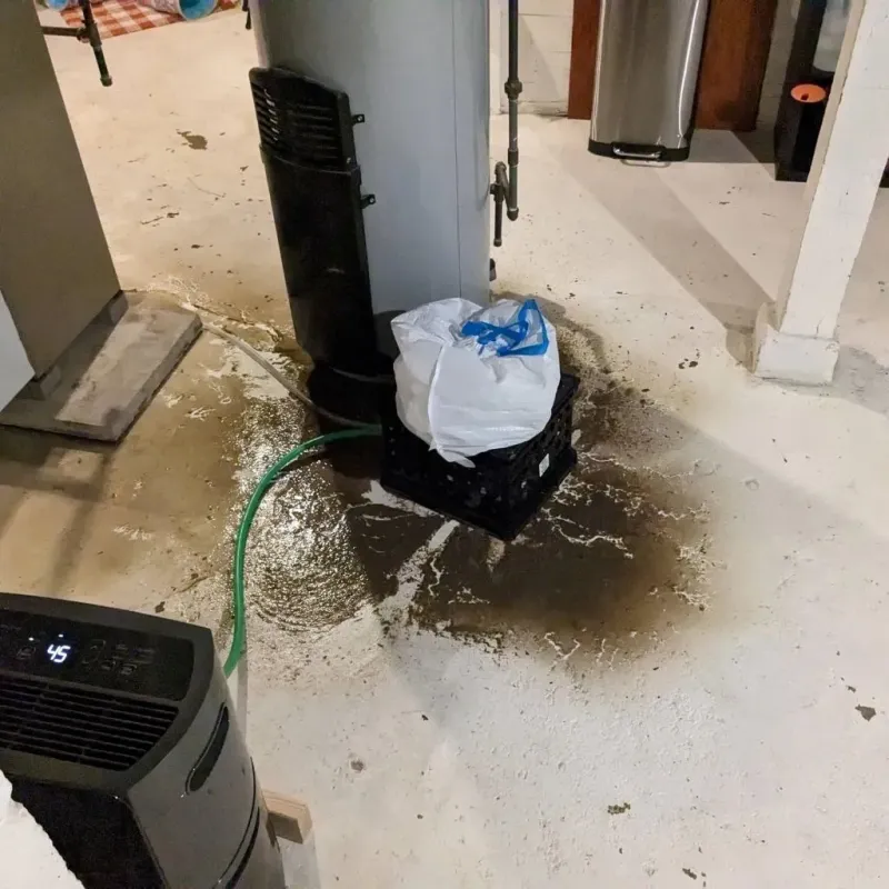 Sewage Backup Cleanup Service in Clarksburg, WV